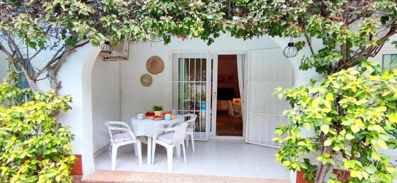 Oasis Apartment *