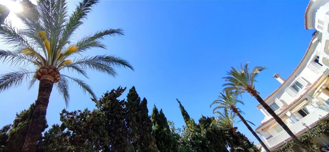 Oasis *